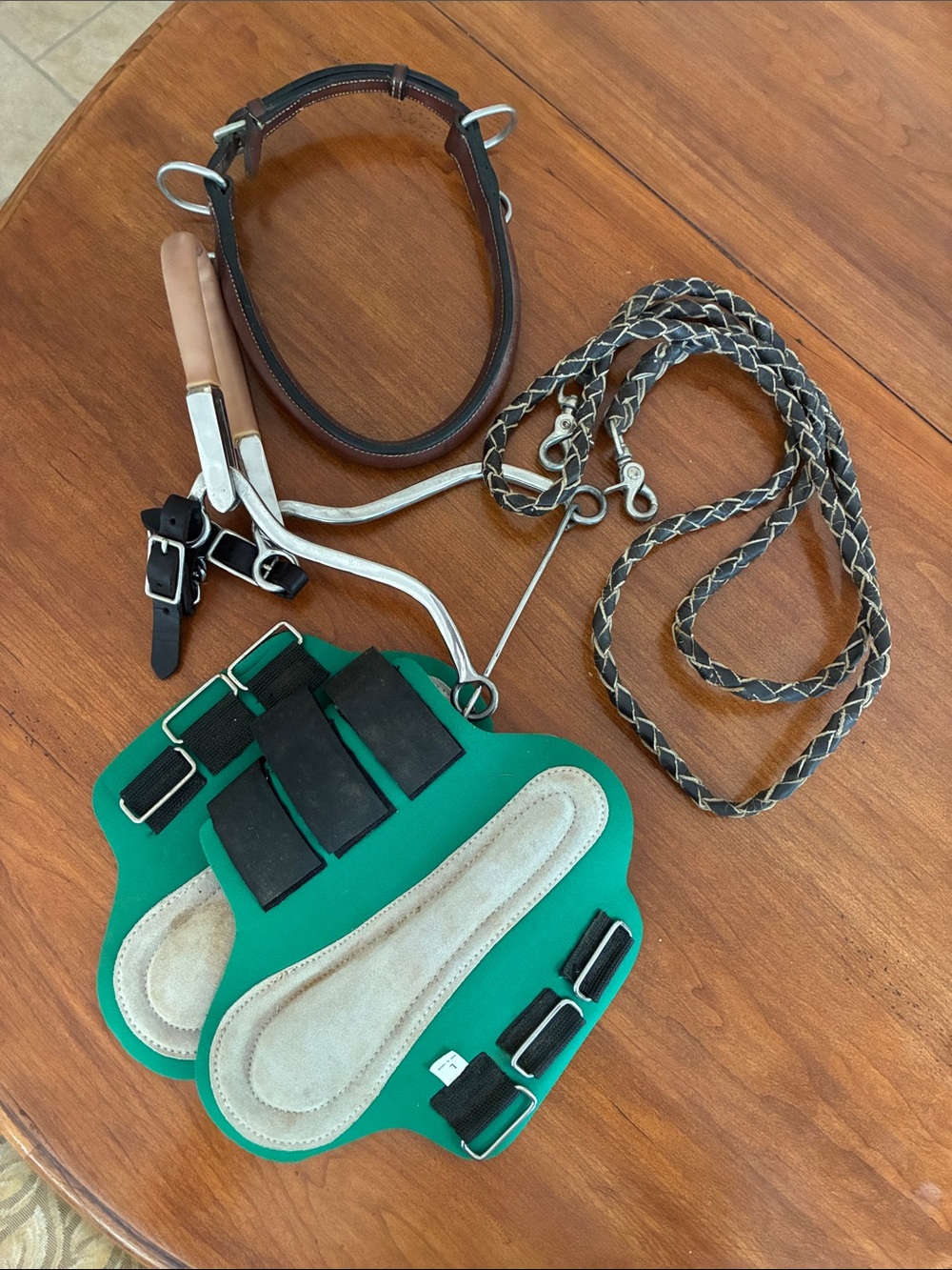 Horse Hackamore/Misc Lot